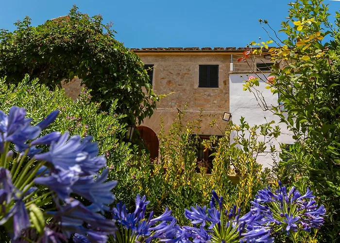 Lloquet By Homevillas360